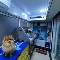 Planet Animal Hospital photo
