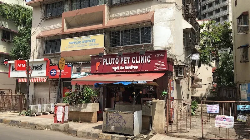 Pluto Pet Clinic photo