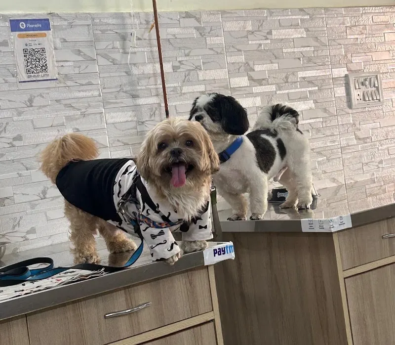 PoochieS’ Pet Clinic photo