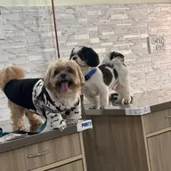 PoochieS’ Pet Clinic photo