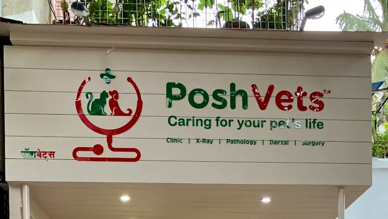 Posh Vets photo