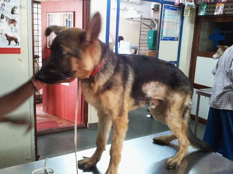 Prakruthi Vet Hospital photo