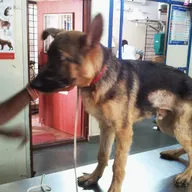 Prakruthi Vet Hospital photo