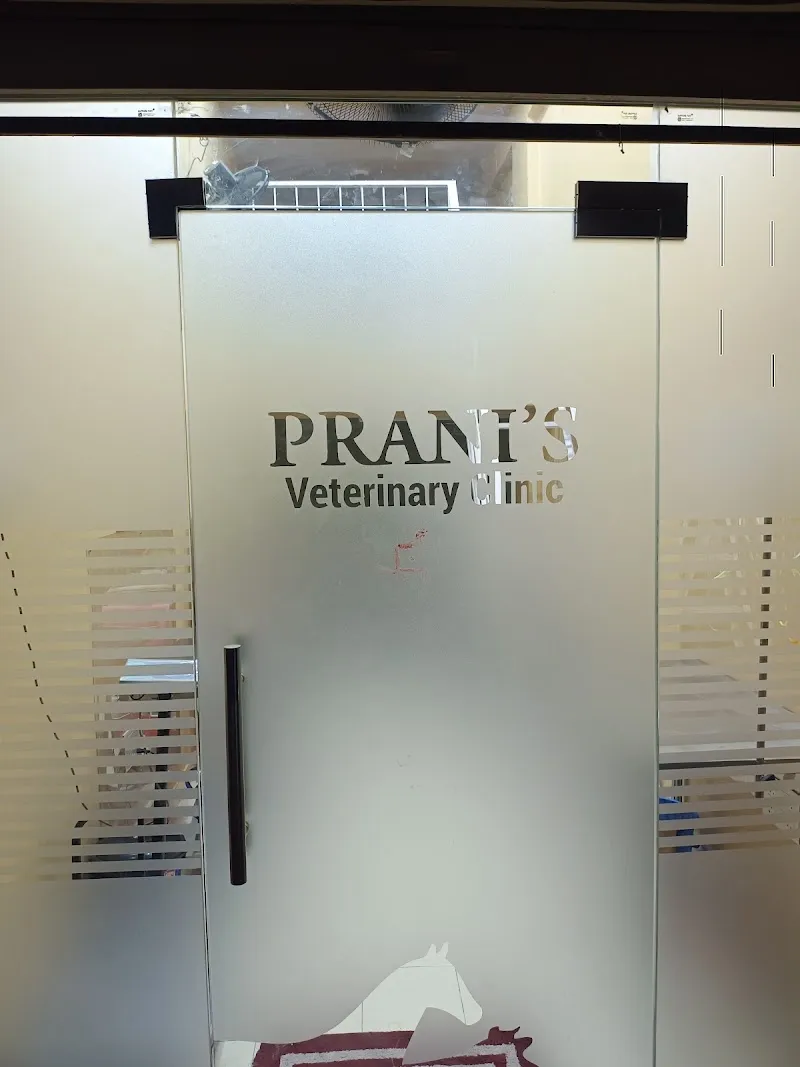 Prani’s Veterinary clinic photo