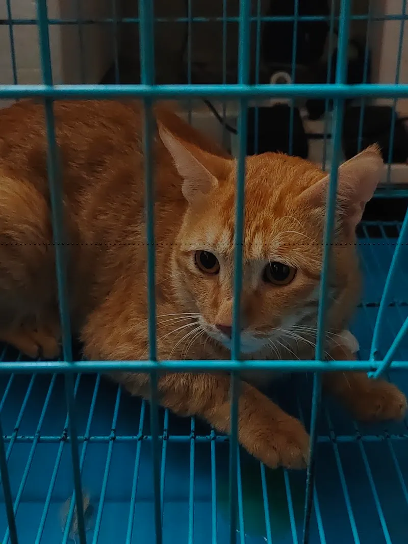 Prani’s Veterinary clinic photo