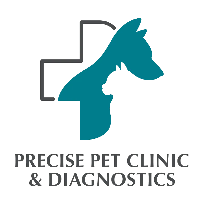 Precise Pet Clinic photo