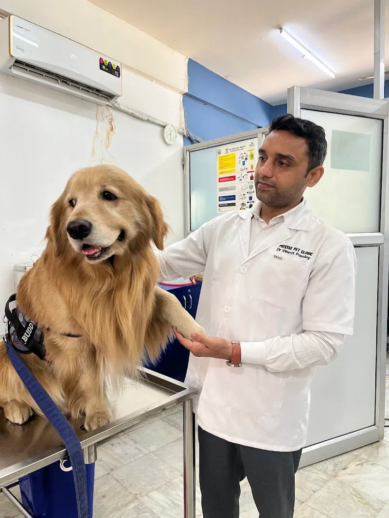 PRECISE PET CLINIC photo