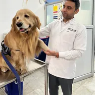 PRECISE PET CLINIC photo