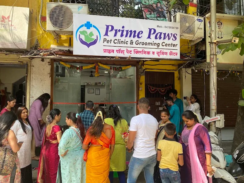 Prime Paws photo