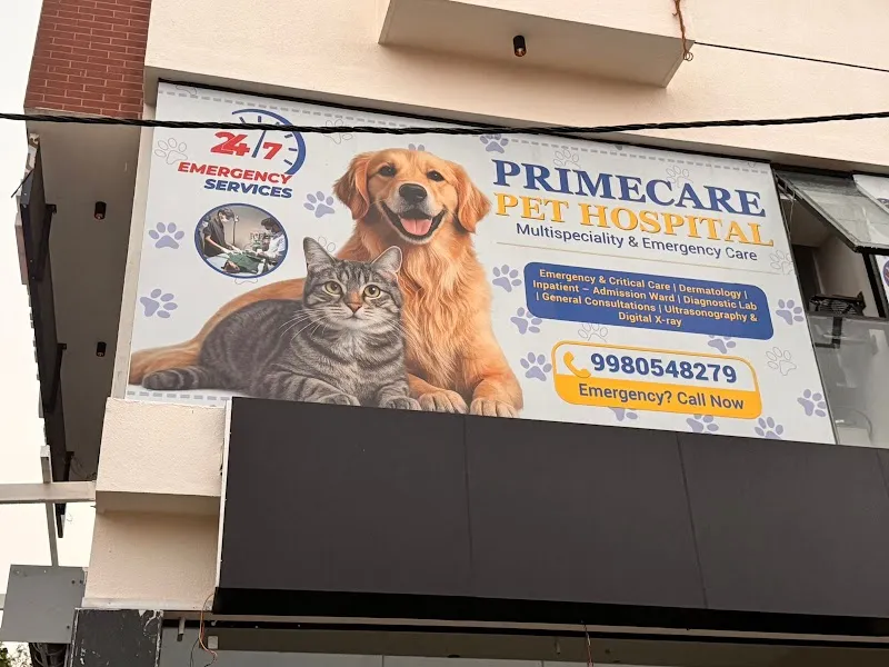 PRIMECARE PET HOSPITAL 24/7- Vet Home Visit in Bengaluru photo