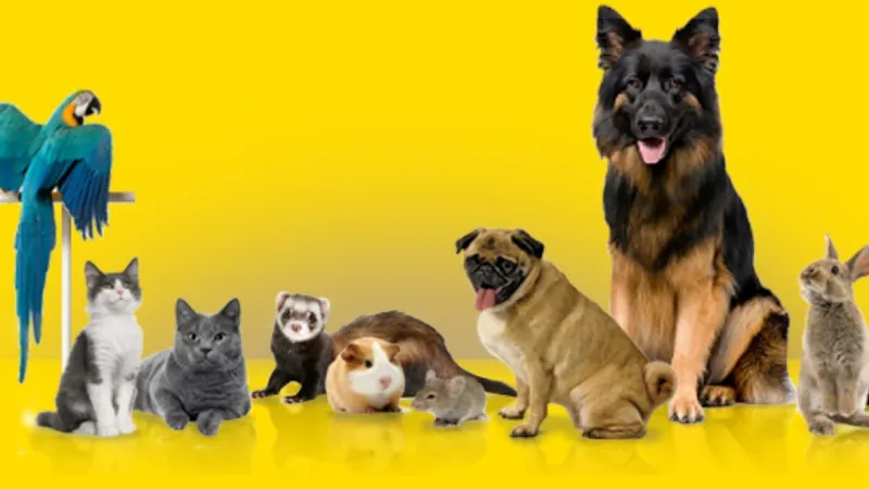 Prolife Veterinary Clinic photo