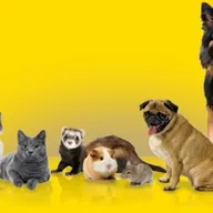 Prolife Veterinary Clinic photo
