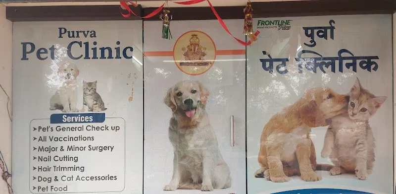 Purva Pet Clinic photo