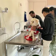 PVD Care Vet Clinic photo
