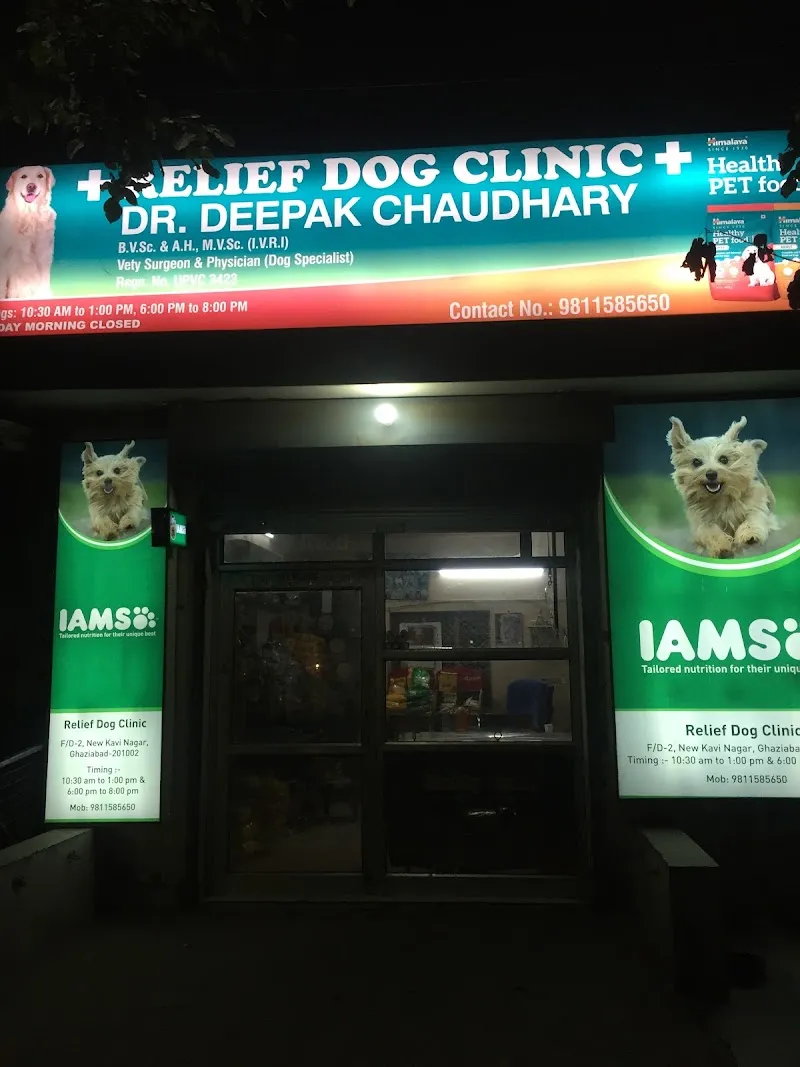 Relief Dog Clinic photo