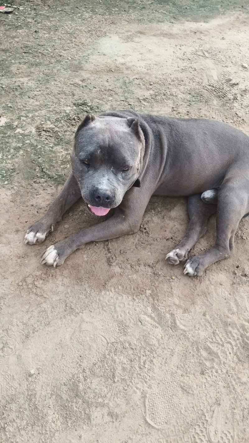 Renwal pet clinic photo