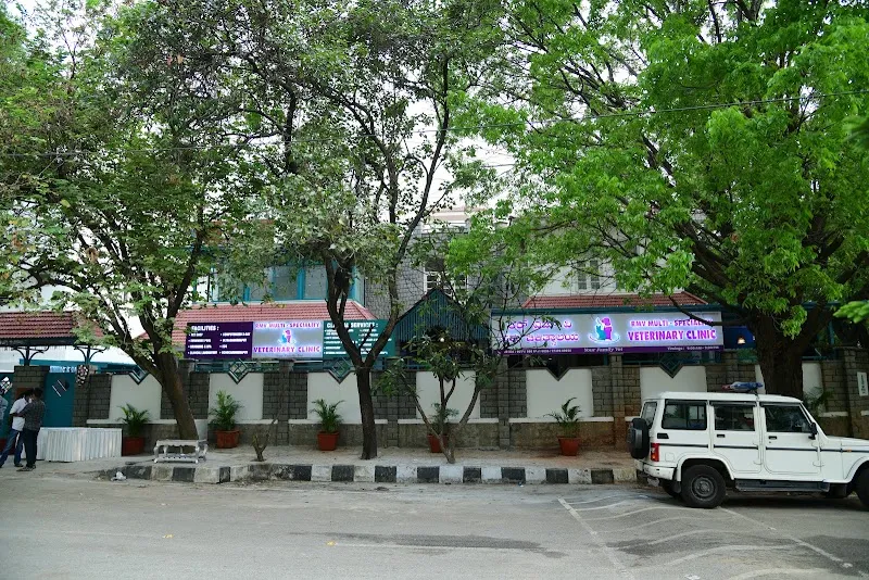 RMV MULTI-SPECIALITY VETERINARY CLINIC photo