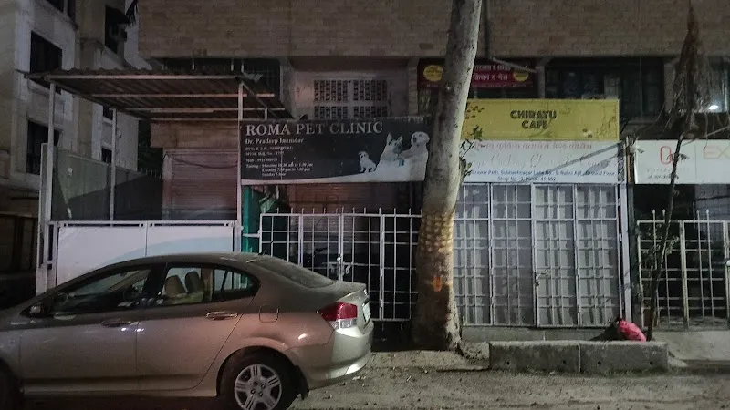 Roma Pet Clinic photo