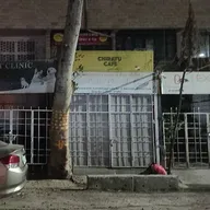Roma Pet Clinic photo