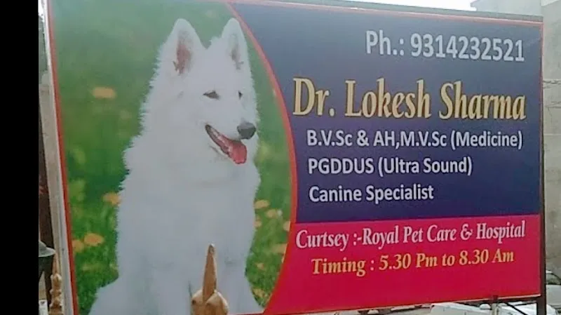 Royal Pet Care & Hospital photo