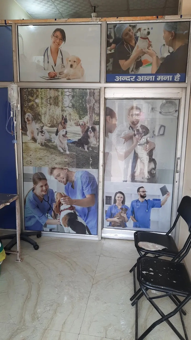 ROYAL PET CARE CENTRE photo