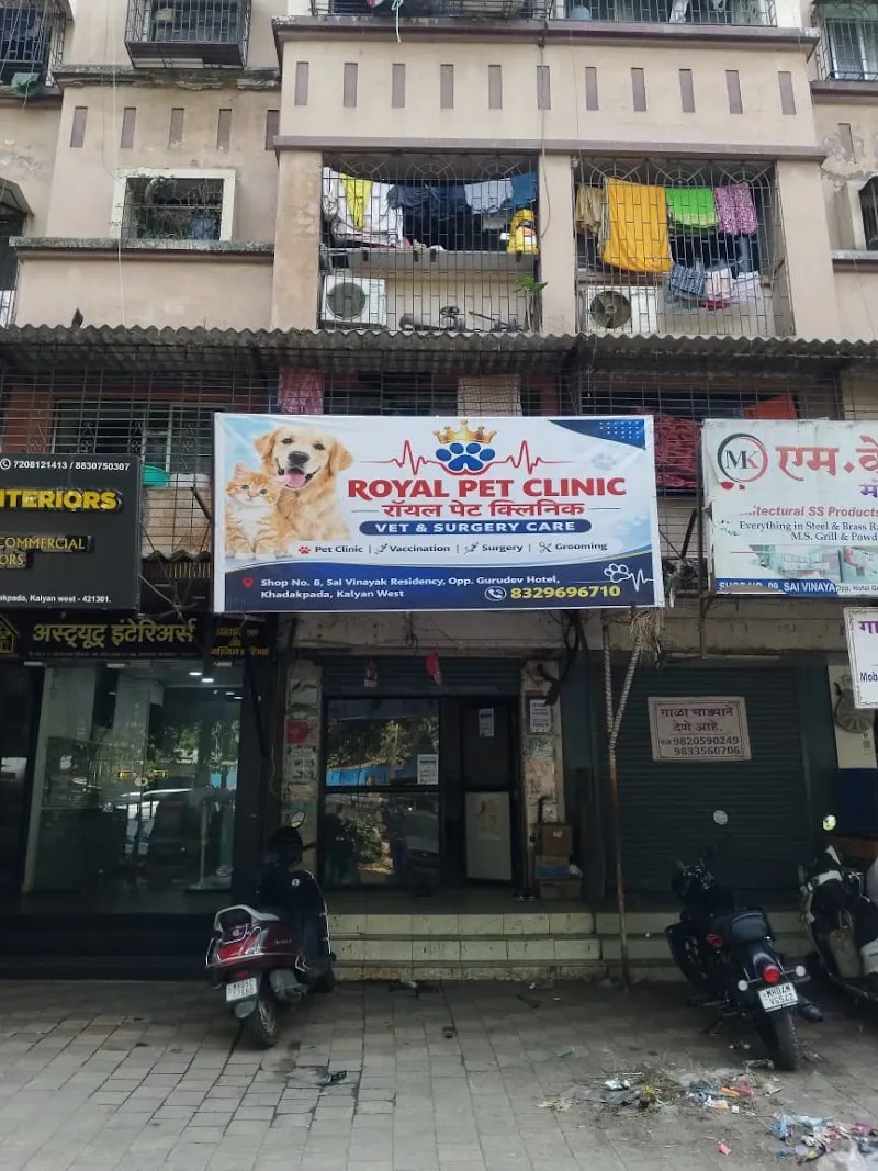 Royal pet clinic photo