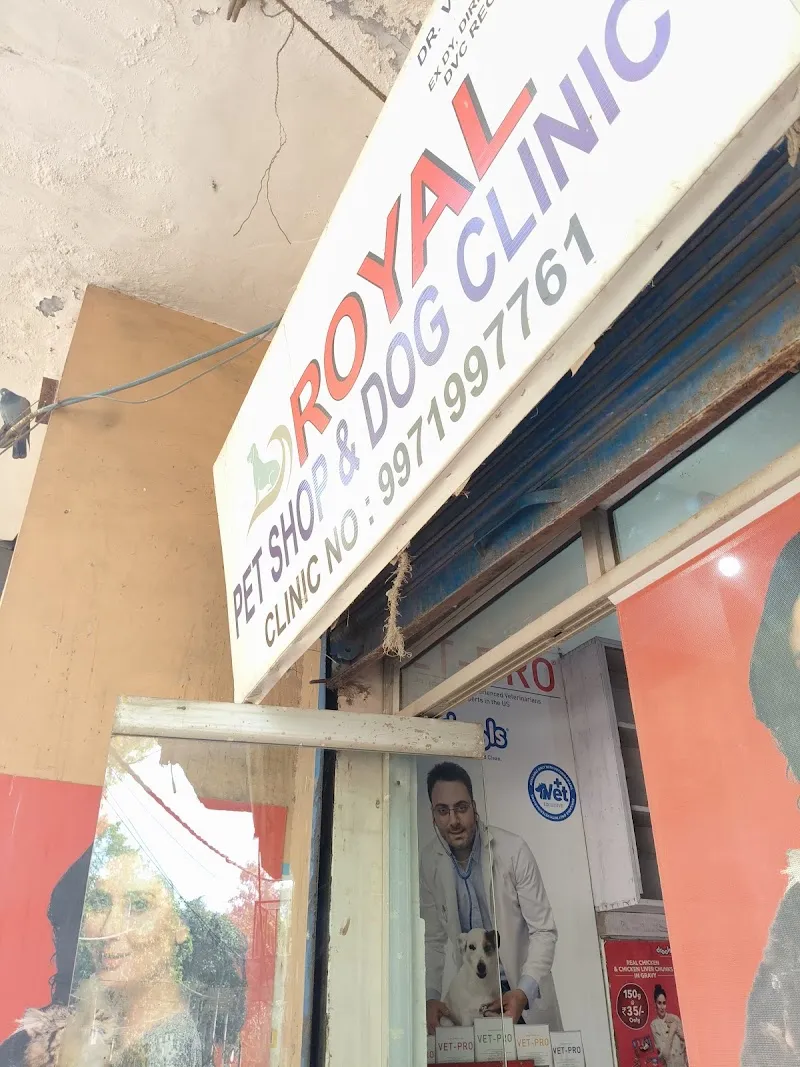 Royal Pet Shop & Dog Clinic photo