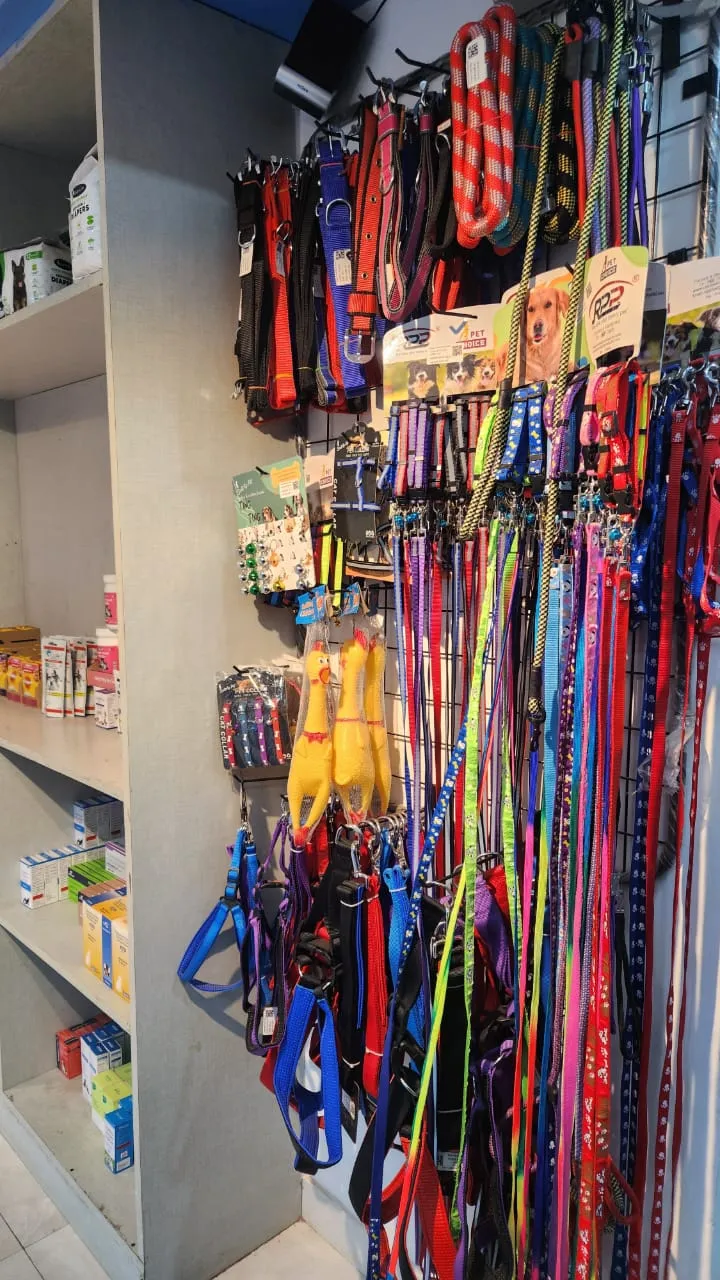 Royal Veterinary Clinic photo