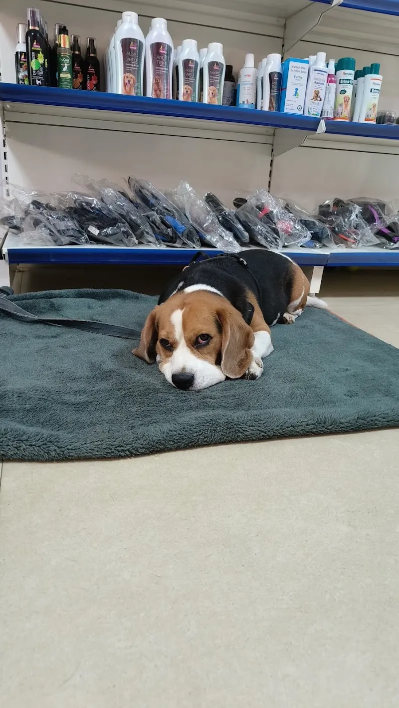 RS PET CLINIC photo