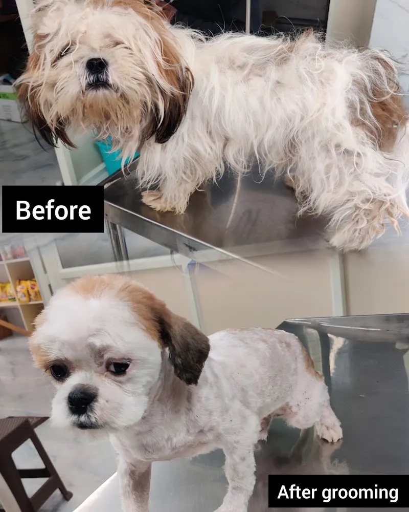 S M Pet Clinic photo