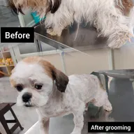 S M Pet Clinic photo