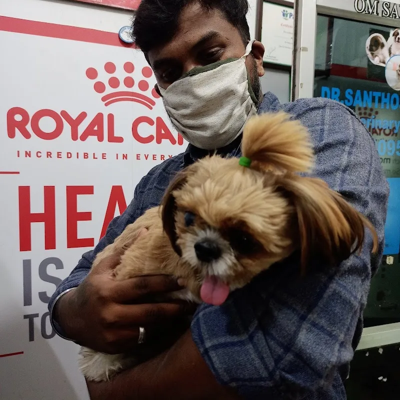 Sai Pet Clinic & Shoppe photo