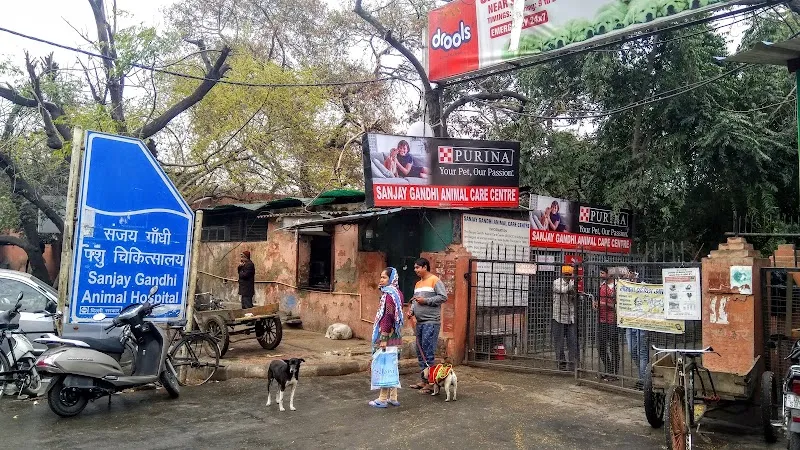 Sanjay Gandhi Animal Care Centre photo