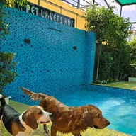 Satcura Pet Service photo