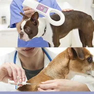 Saxena Pet Care Clinic photo