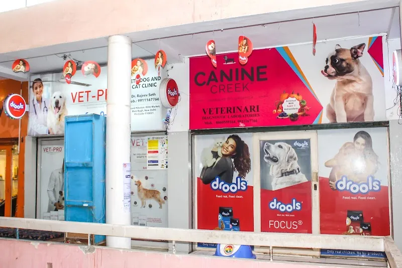 Seth Dog and Cat Clinic photo
