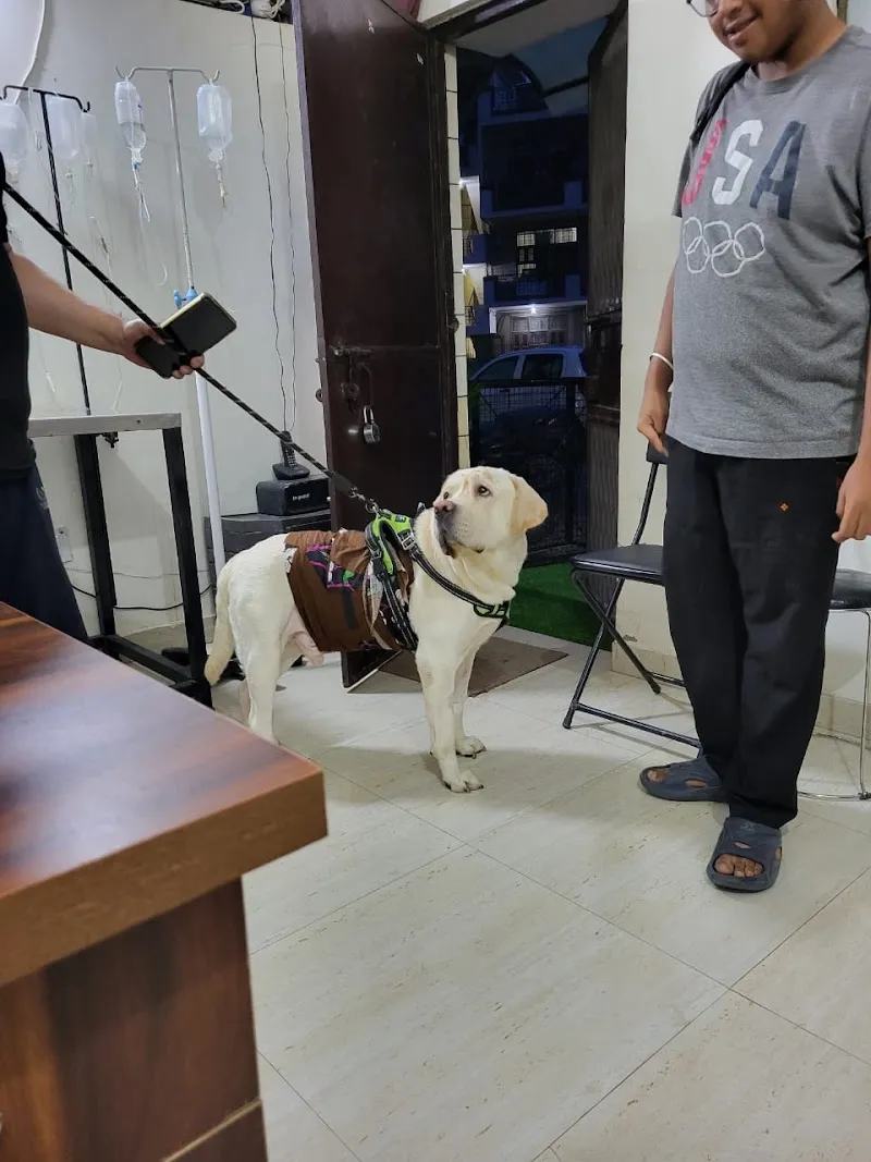 Shalimar Pet clinic photo