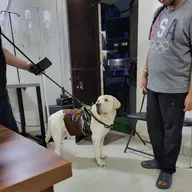 Shalimar Pet clinic photo