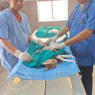 Sharma Pet Clinic & Pet Shop photo
