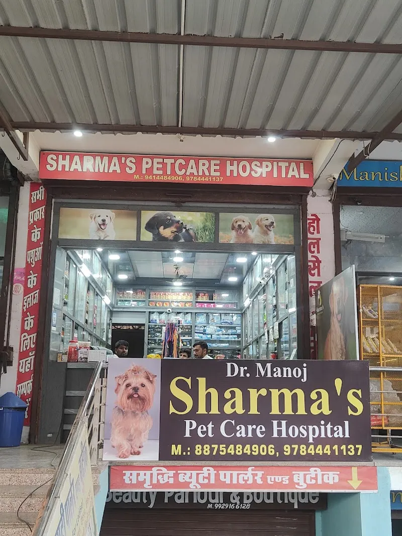Sharma’s petcare hospital, Jagatpura(jaipur) photo
