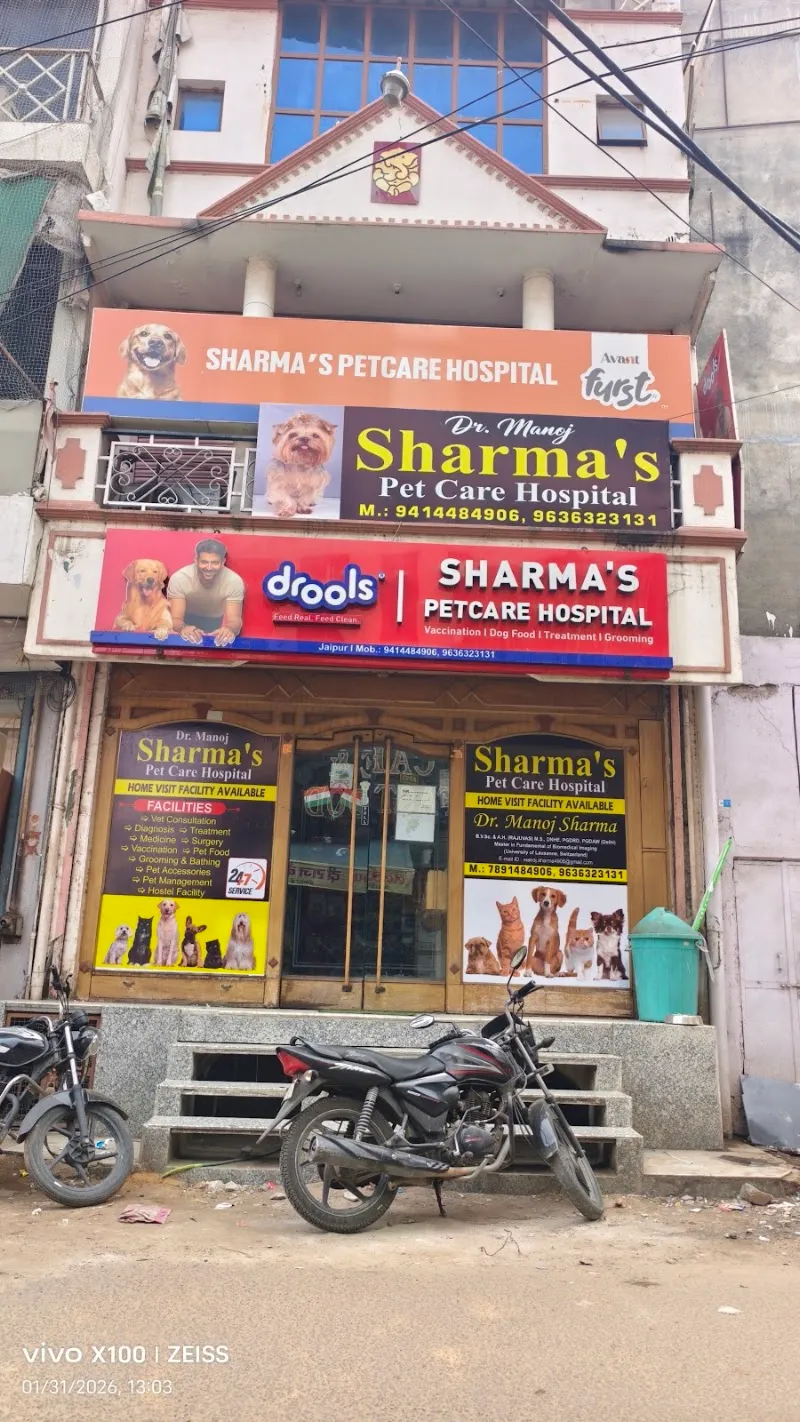 Sharma’s petcare hospital, Sodala/near by pet hospital/ best pet/dog hospital in Jaipur/Home vist facilities hospital photo