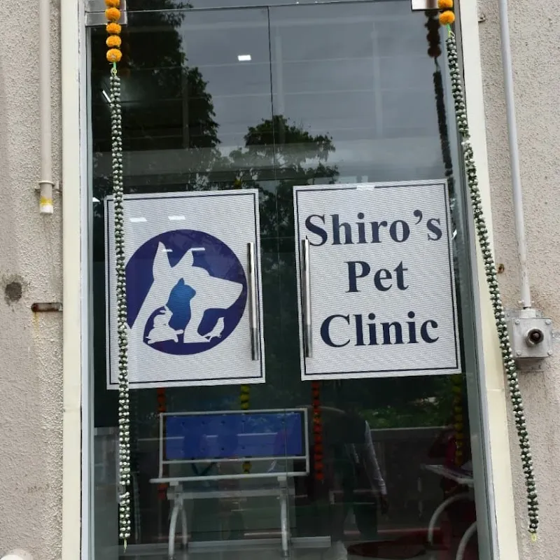Shiro’s Pet Clinic / Pet Derm Clinic photo