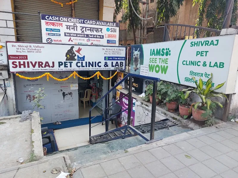 Shivraj Pet Clinic & lab photo
