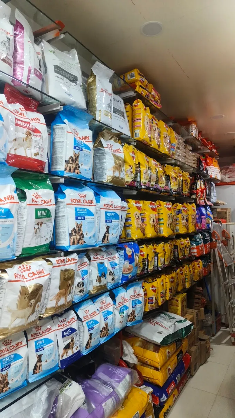 Shree Vet Life Pharma photo