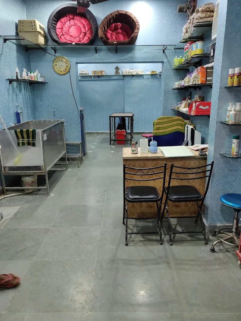 Shri Mahesh Animal Care & Dog Surgery photo