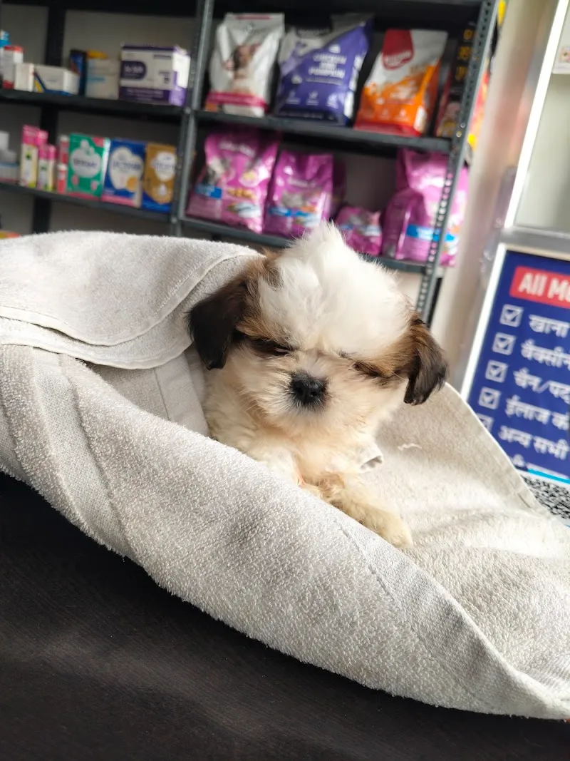 Shri Shyam Pet clinic photo