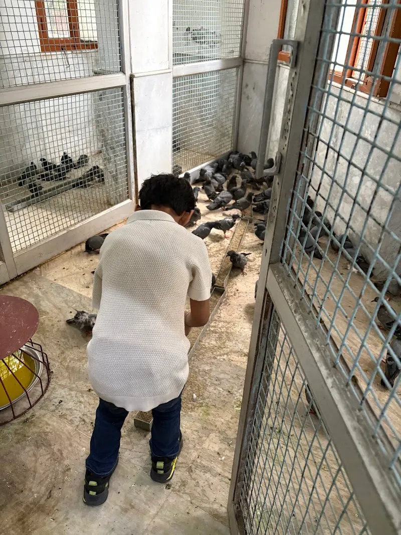 Shri Vijayanand Jain Charitable Birds Hospital photo