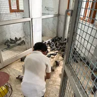 Shri Vijayanand Jain Charitable Birds Hospital photo