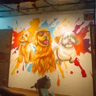 Shvan Development Foundation Pet Clinic Pet Grooming Pet Shop photo