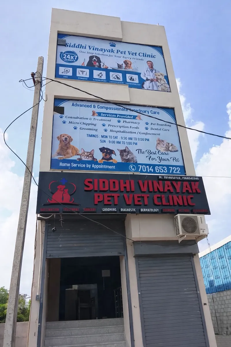 SIDDHI VINAYAK PET VET CLINIC – Dr. Amit Lavania photo